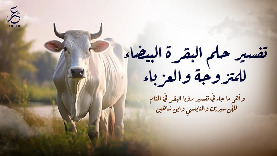 صورة المقالة