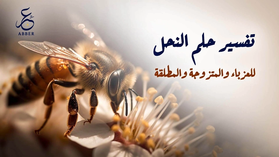 صورة المقالة