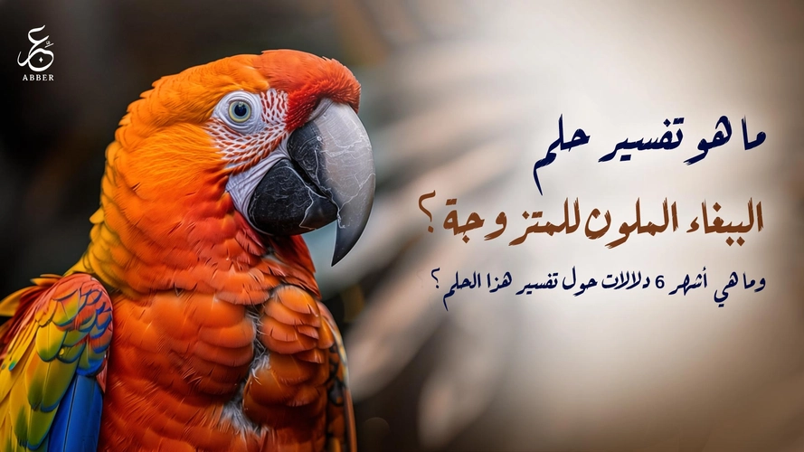 صورة المقالة