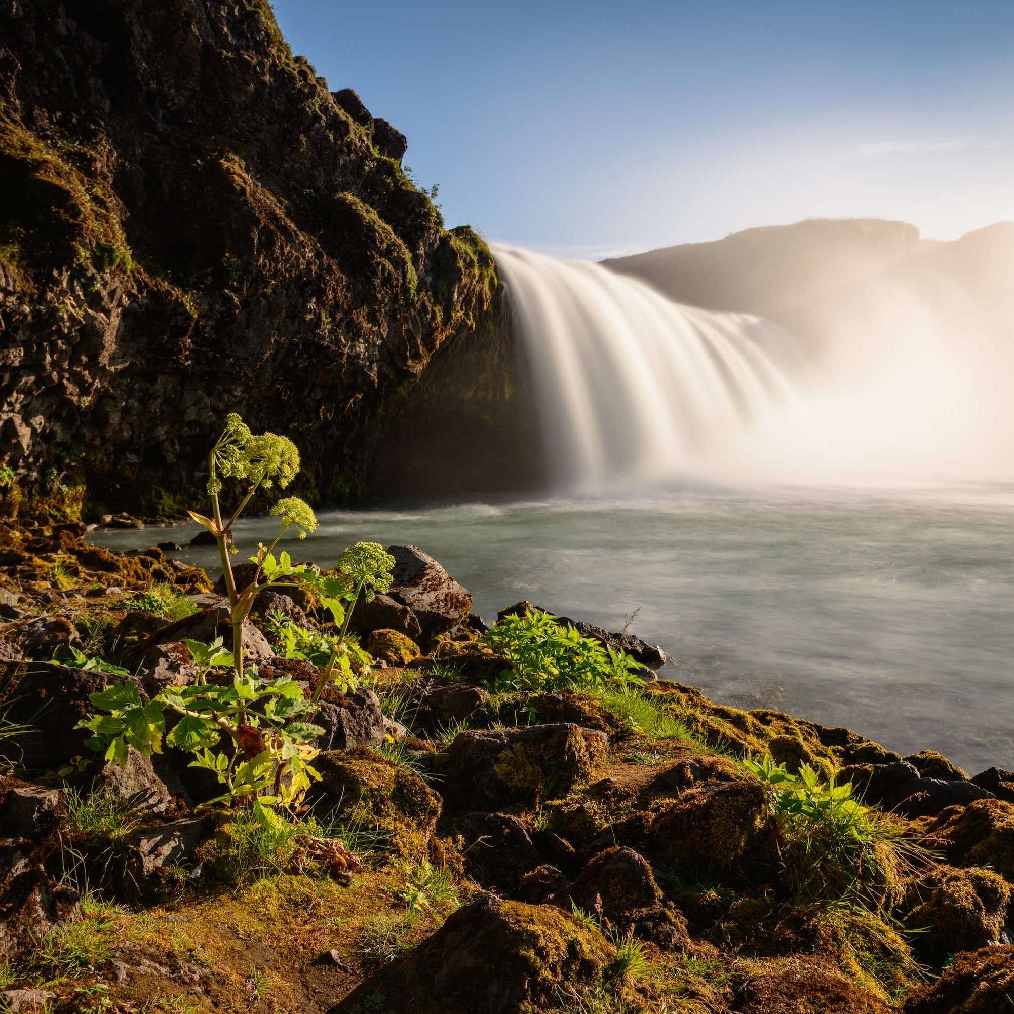 صورة صاحب التقييم