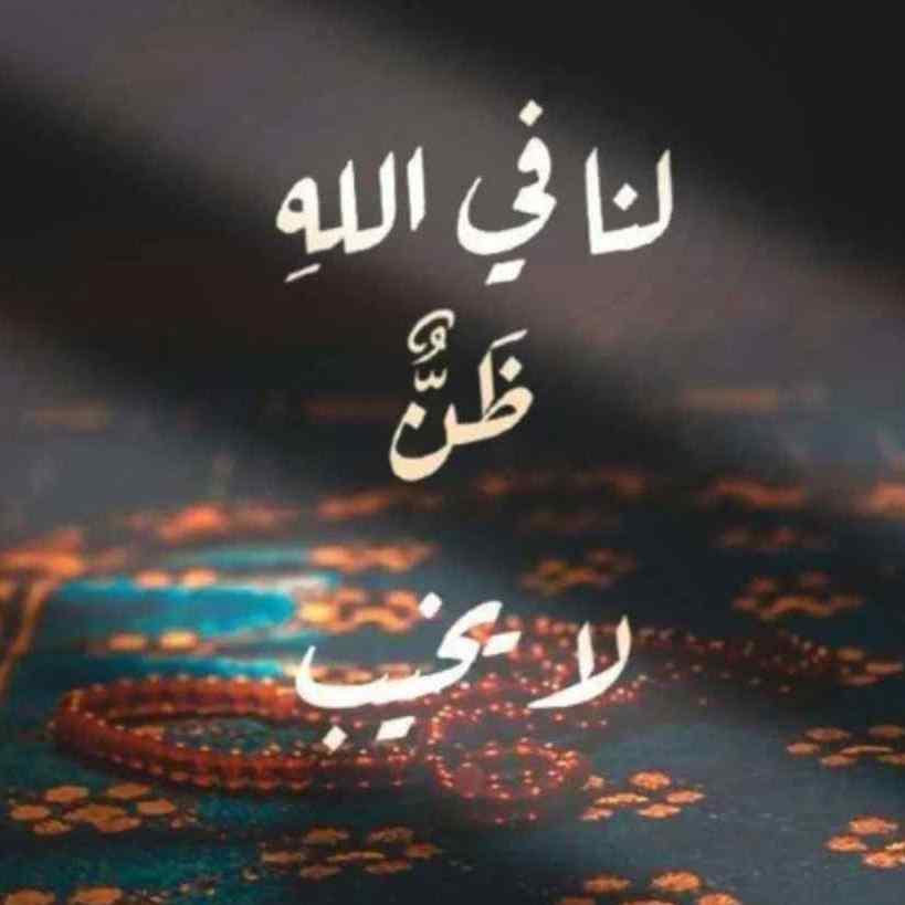 صورة صاحب التقييم