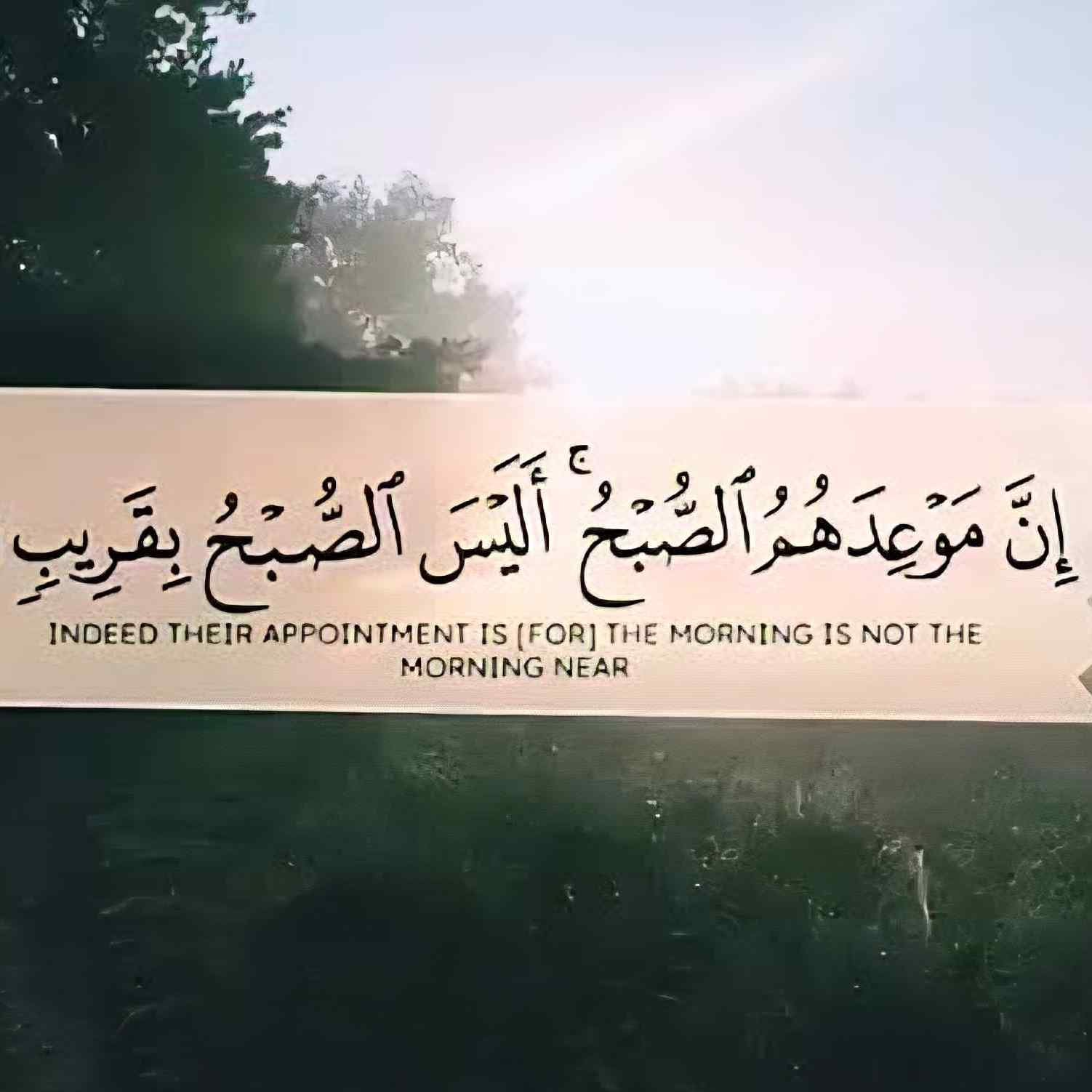 صورة صاحب التقييم